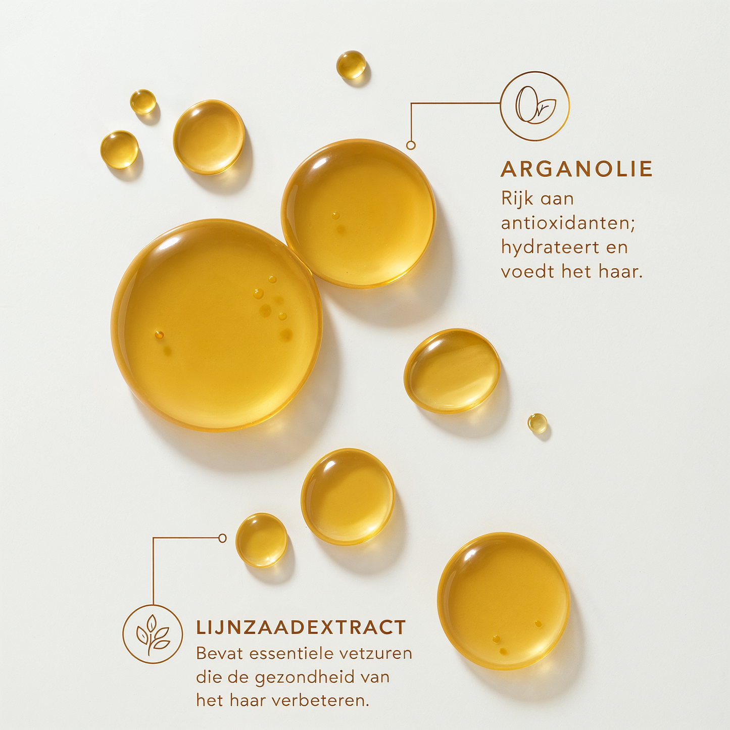 Moroccan TreatmentOlie – Voor Alle Haartypes